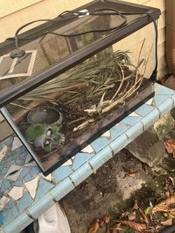 2 Terrariums 1 Heater & All Accessories 