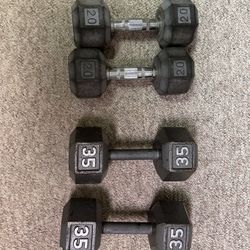 Weight Bench