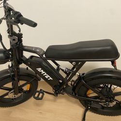 Electric Bike · Powerful Motor · New Condition