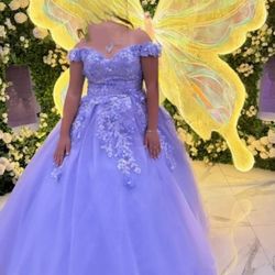 Quinceanera Dress