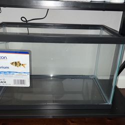 Brand New fish Tank 10 Gallon