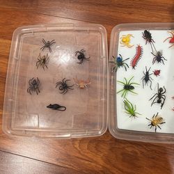 Insects Toys