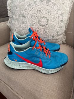 Nike Pegasus Tráil Mens 13