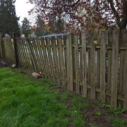 Fence replace