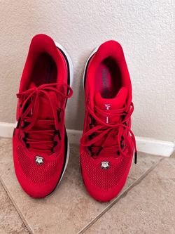 Nike Air Zoom Pegasus 41 Georgia Bulldogs Edition Size- 9.5