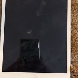 iPad Mini -16 GB - Works No Cracks - 40 Today 