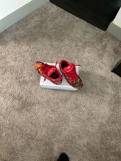 Wizard of oz Nike SBs