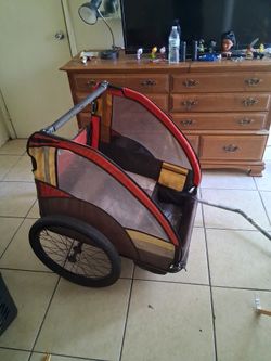Bicycle buggy
