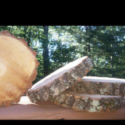 Sorell Tree Slices