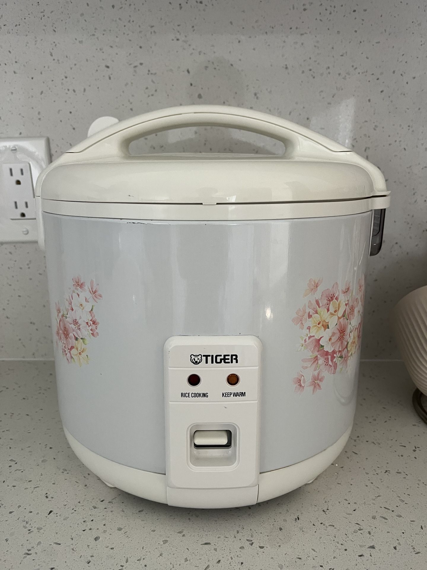 Tiger Rice Cooker (excellent condition)