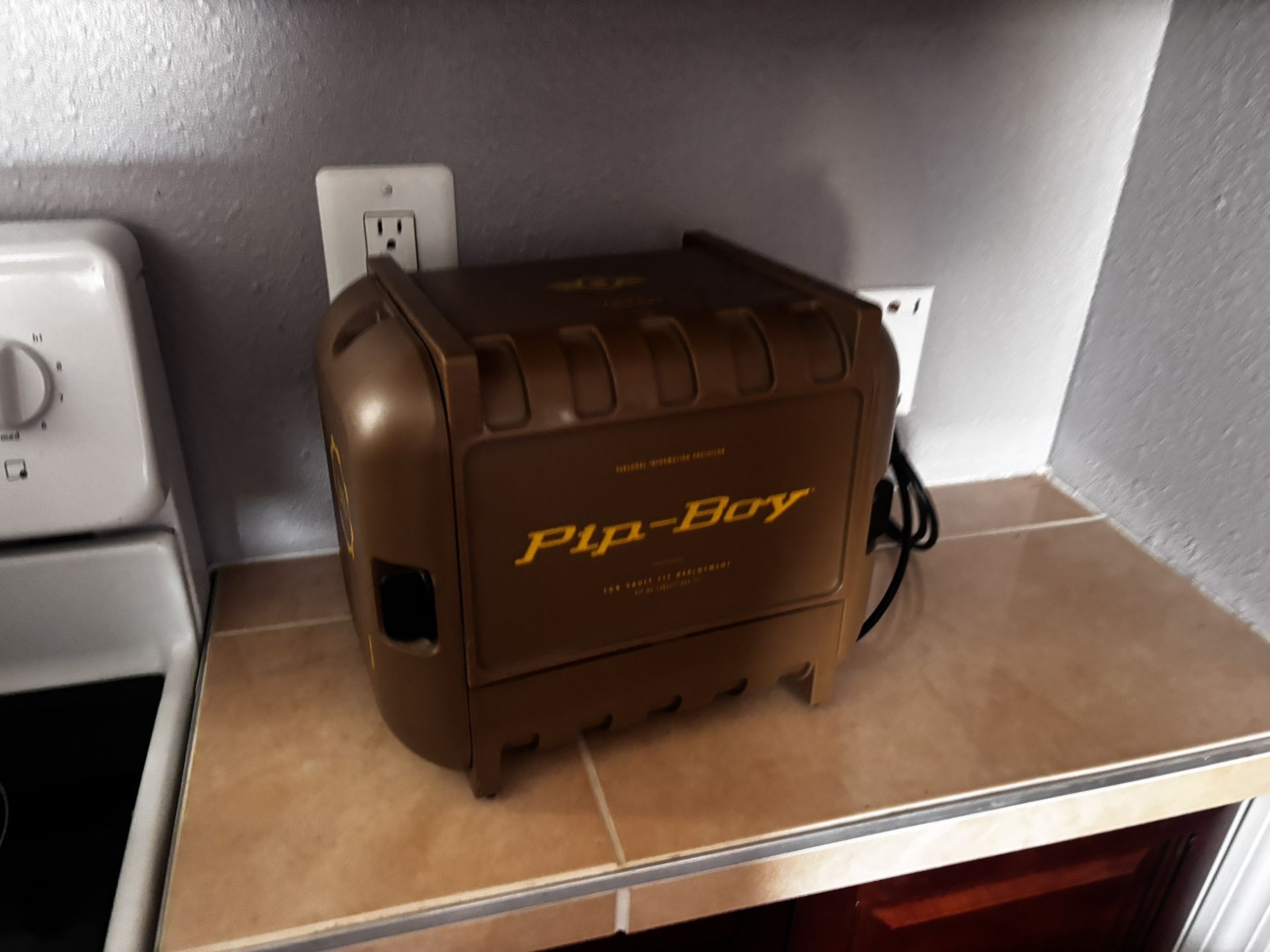 Fallout 4 Pip-Boy Edition (PS4) – Collector’s Set, No Poster Or Game