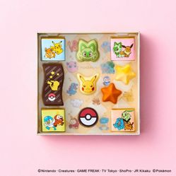 Pokemon 2026 Chocalate Limited Set 