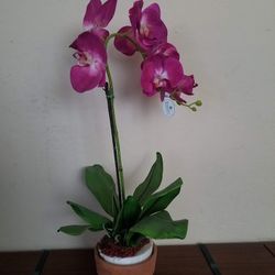 fake orchid flower potted plant