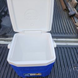 Igloo Cooler 