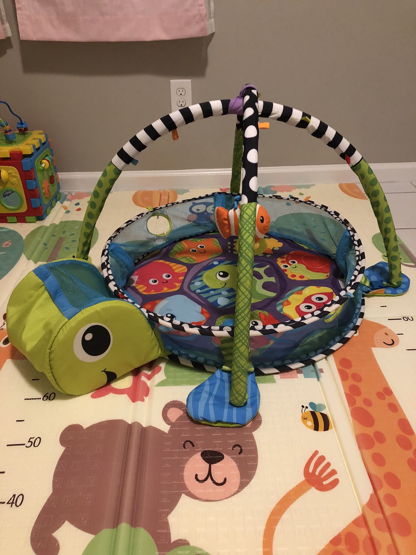 Turtle activity play gym