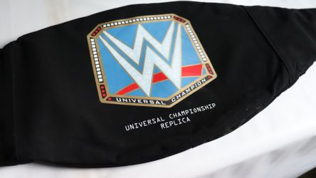 WWE Universal Commemorative Championship Title Belt Case