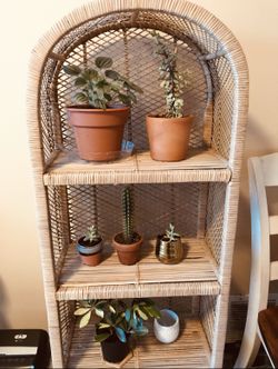 Bali Rattan Shelf