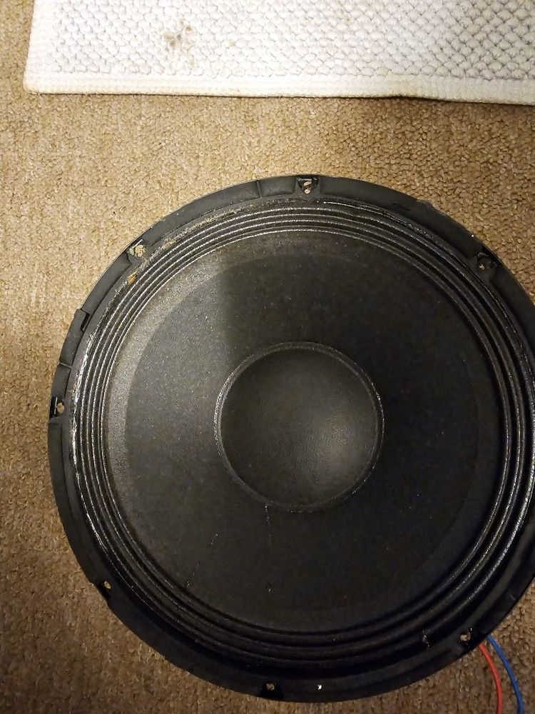 Thornton T1001-3-4
10", peak of 220W at 4 ohms