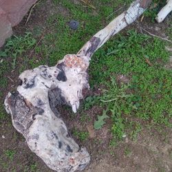 Genuine Driftwood Aquarium Terrarium 