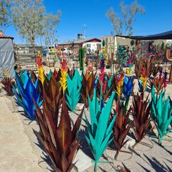 🔥agaves, barrel cactus bright & rustic styles+POTTERY💐🌺