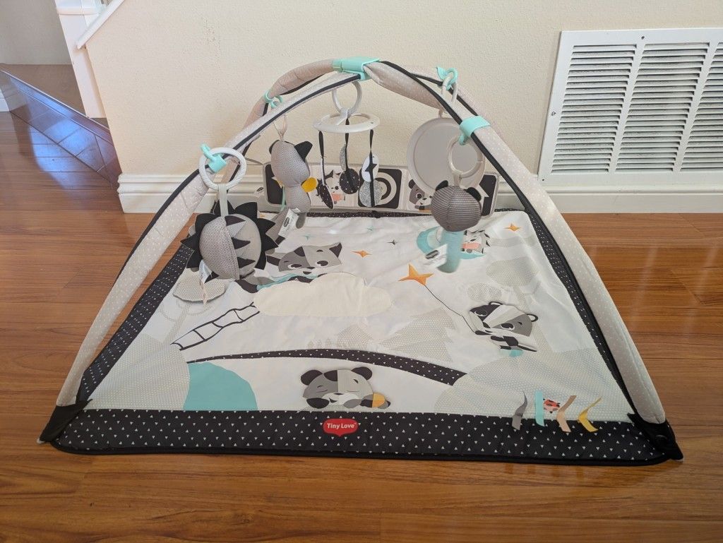Play Gym For Babies. 
