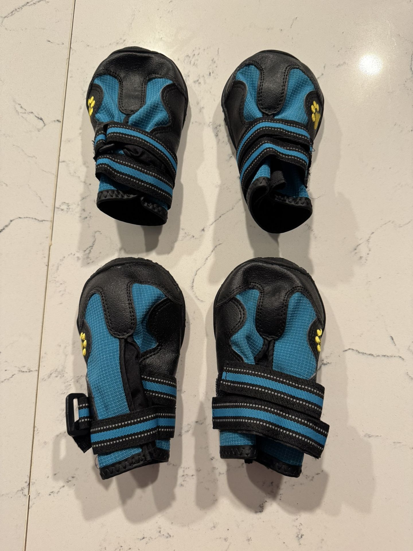 Dog Boots