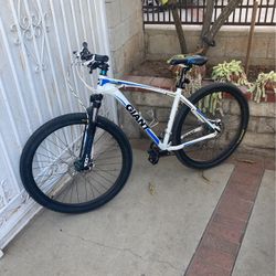 Giant Mountain Bike 29 inch!