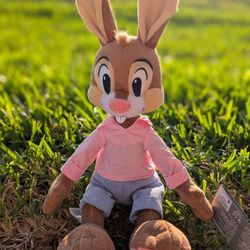 WDW Splash Mountain Brer Rabbit Plush 