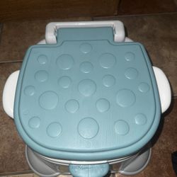 Blue and white potty training seat