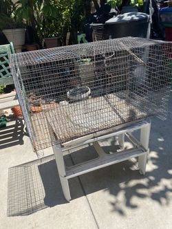 Bird Cage