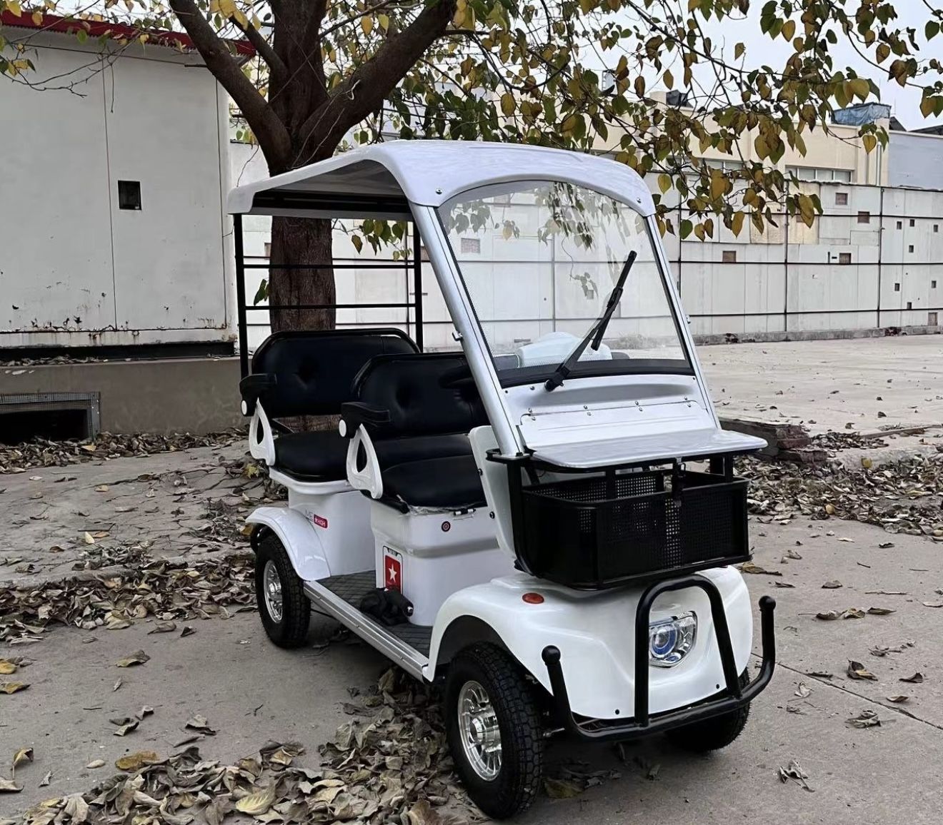 Mini Golf Kart Fully Loaded 