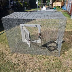 Birds cage