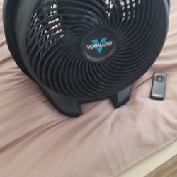 Vornado Fan