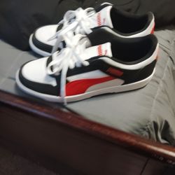 Pumas For Sale