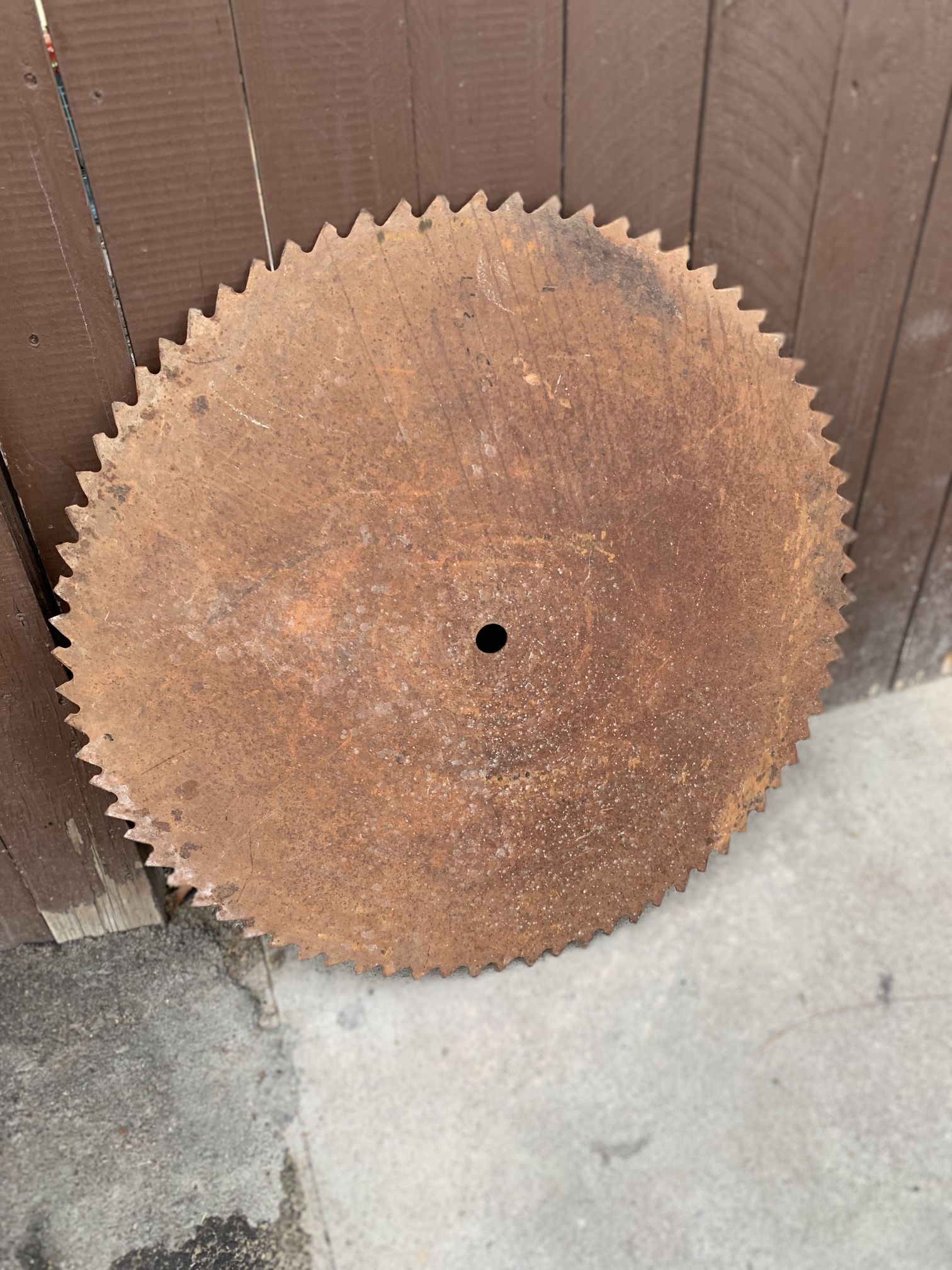 Antique Long Tooth 24” Sawmill Blade, Yard Art