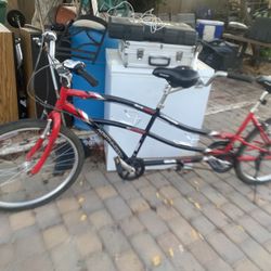 21 Speed Tandem Bike 