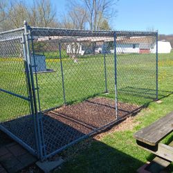 Chain link dog Run/ cage
