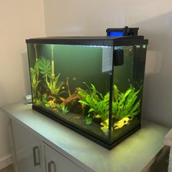 29 Gallon Top Fin Fish Tank 