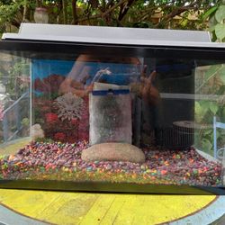 10 Gallon Aquarium 