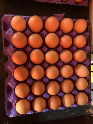 New And Used Farming For Sale In Pasadena Ca Offerup