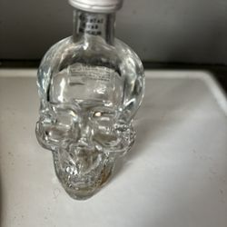 Bundle Skull Decanter,Yale University Shot Glass, New Serving Platter