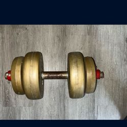 30lb Adjustable Dumbbell