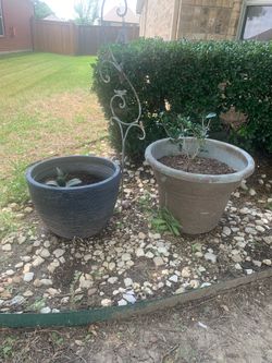 Big pots for plants!