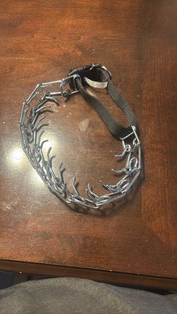Large Prong, Dog Choke Collar
