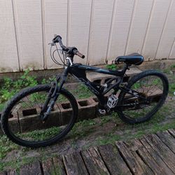 Bicicleta GRANDE.en Buenas Condiciones