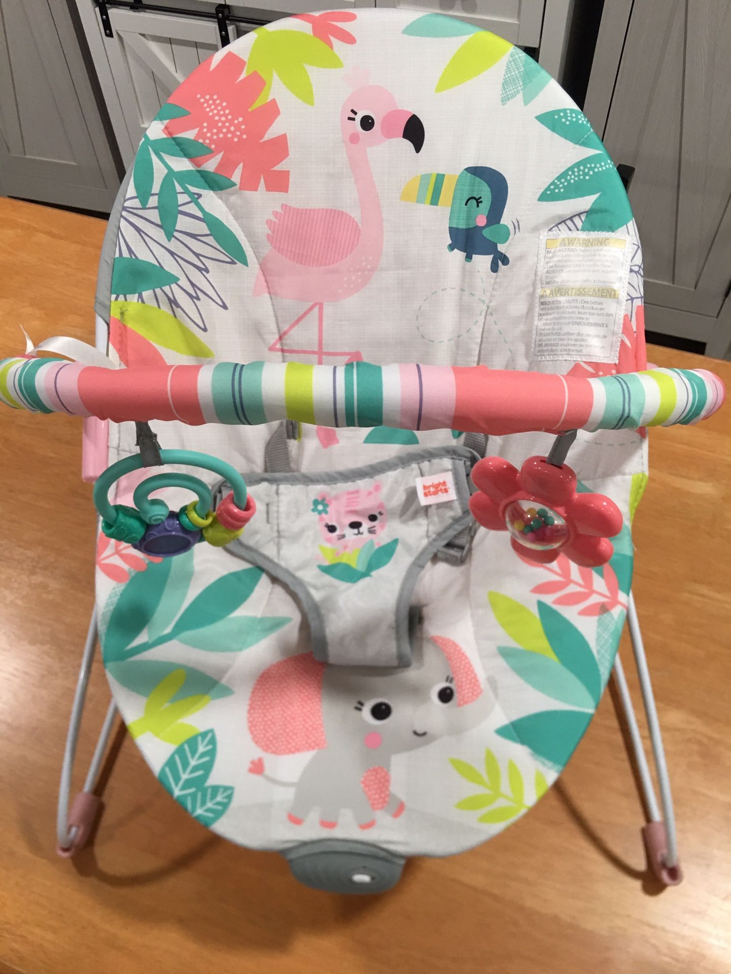 Bright Starts Baby Bouncer • Soothing Vibrations • Infant Seat • Removable Toy Bar