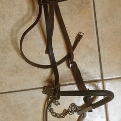 Hackamore, tie down, dummy steer, lead rope with halter, performance boots, horn saddle bag