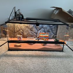 40 Gallon ExoTerra Dessert Terrarium