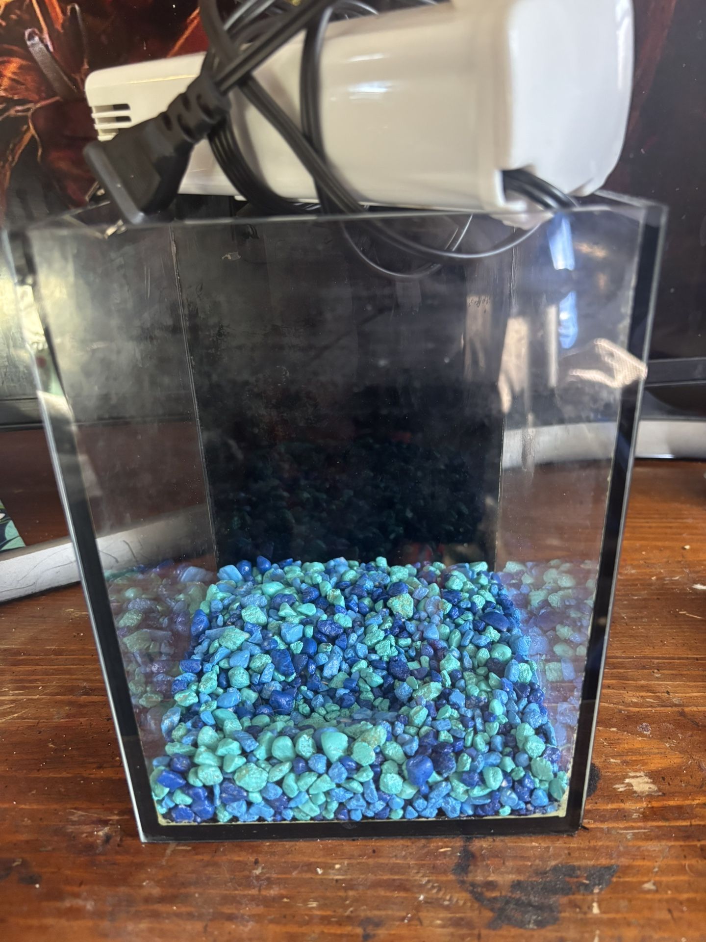 Small Glass Square Fish Tank With Filter