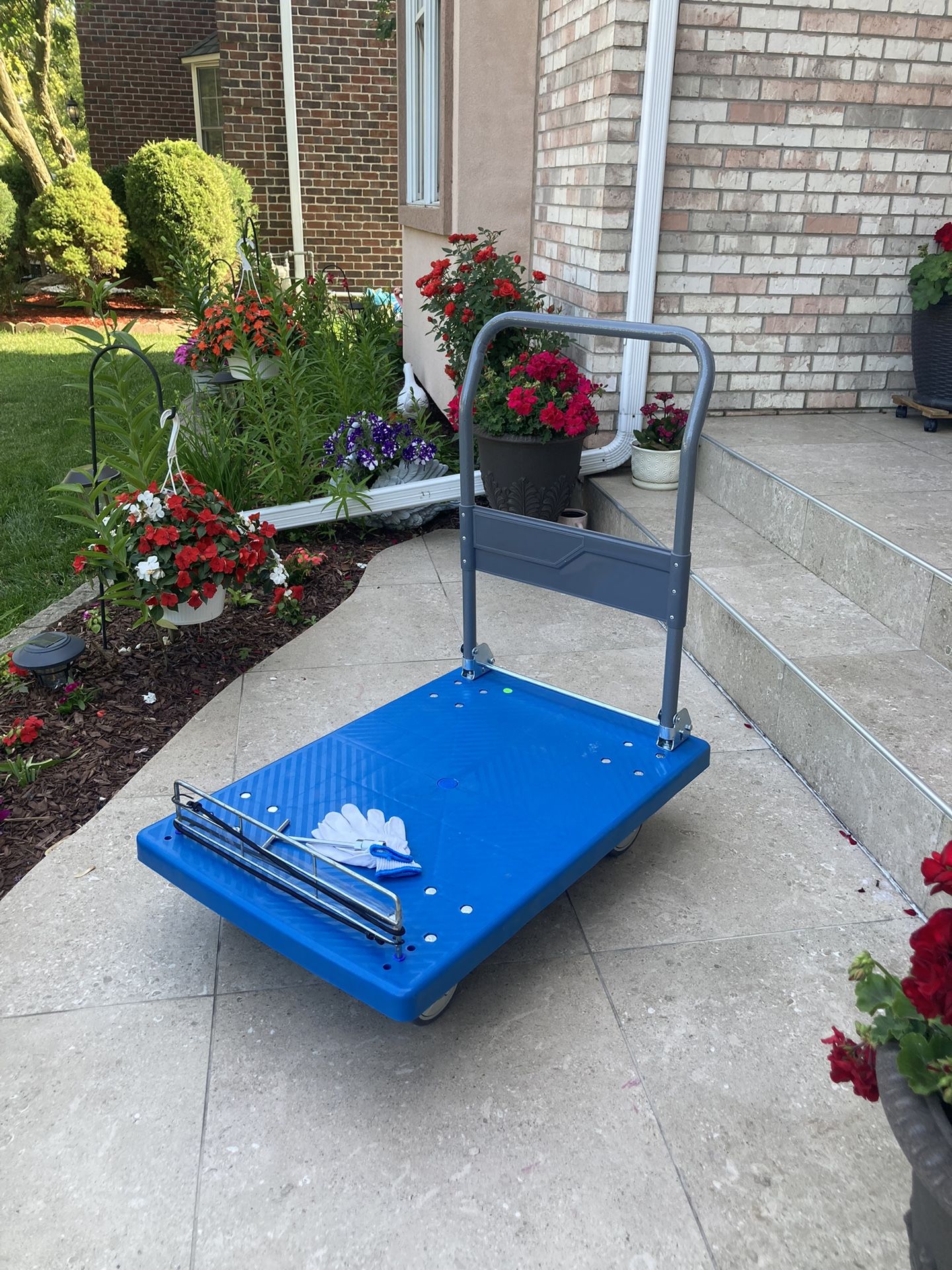 New Work Cart